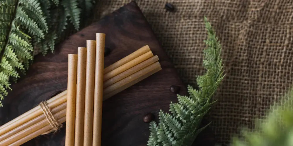 Invest in our planet. What is the best alternative to plastic straws? Straw Matters
