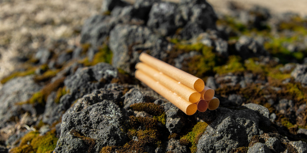 How to satisfy both customers and the planet by choosing the best straw? - Straw Matters