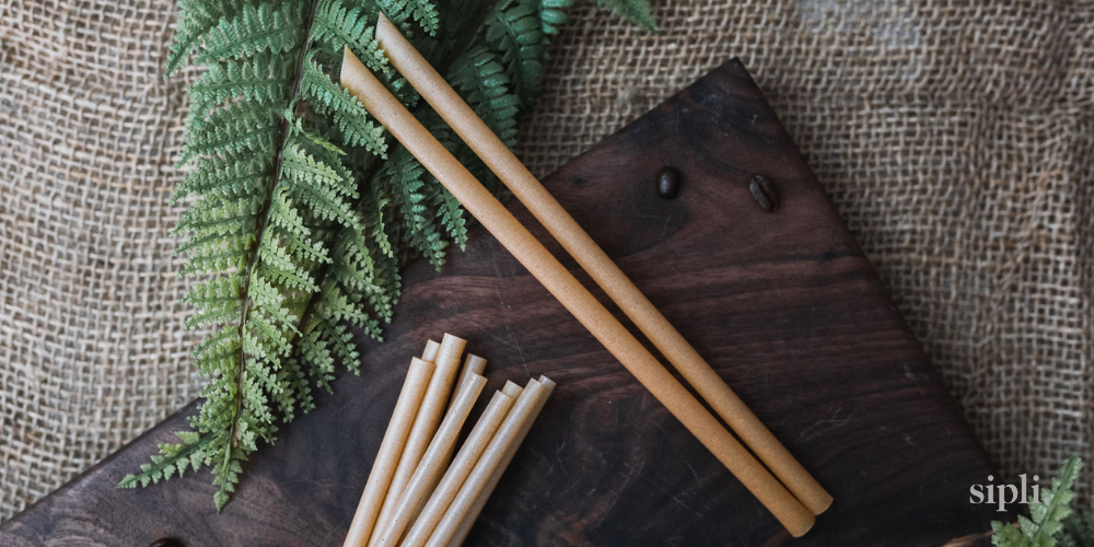 Sustainable Sipping: Navigating the World of Certified Compostable Straws