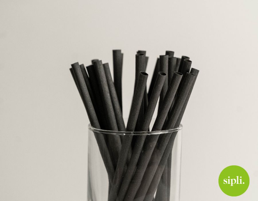 Black plastic free straw