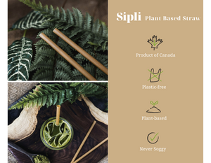 Why plant based straws are better than paper straws