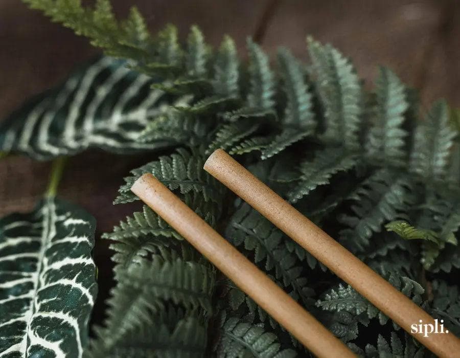 Plant Based Standard Straws Straw Matters