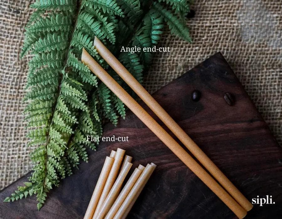 Plant Based  Standard Straws Straw Matters