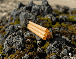 Plant Based Buba Tea Straws Straw Matters